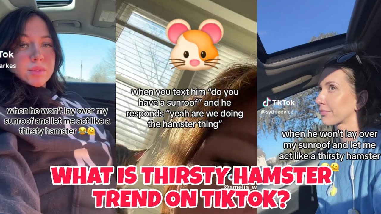 Thirsty Hamster Sunroof